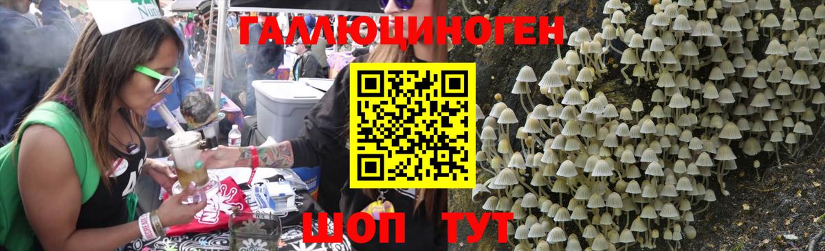 Галлюциногенные грибы Psilocybine cubensis Нижнекамск